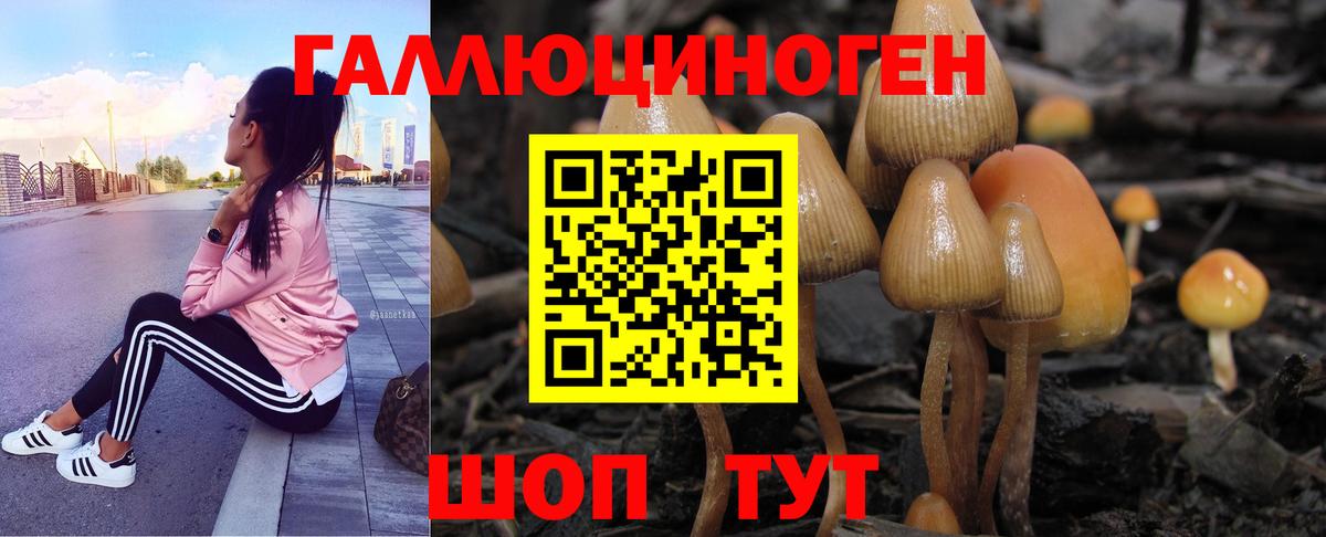 Галлюциногенные грибы Psilocybine cubensis  Вход с VPN  Салехард  Псилоцибиновые грибы Psilocybe 